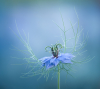 Molly Hollman's Photo