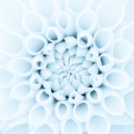 Stephen Studd's Photo