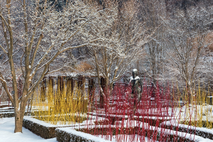 Colourful Winter Garden, Jadegarden Arboretum, South Korea