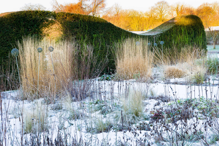 Fire and Ice in the Savill Garden