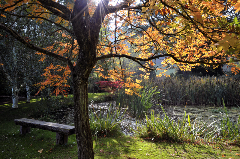 Japanese Landscape Garden at Kew