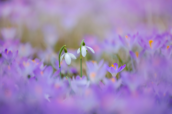 The Two of Us - It's okay to be different