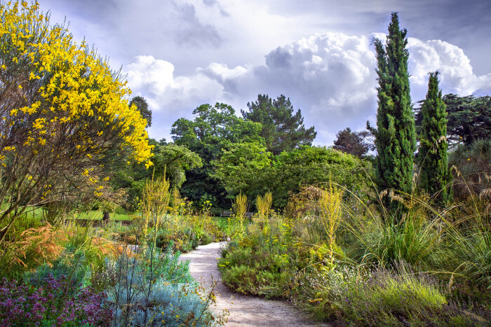 Mediterranean Moments at CUBG