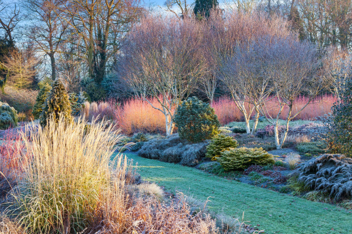The Winter Garden at The Bressingham Gardens