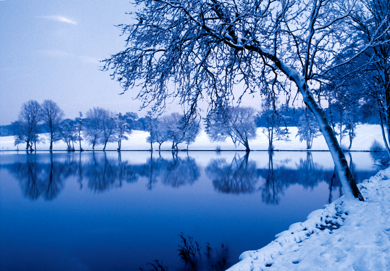 Winter tranquility
