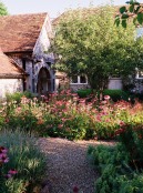 Courtyard garden