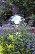 Solar Powered Garden Light