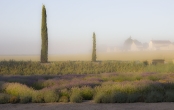 Misty Morning, Le Coudray