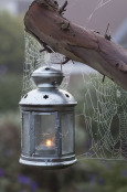 Lantern with Cobwebs