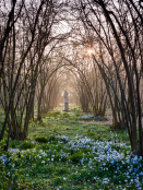 Sissinghurst