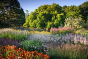 RHS Harlow Carr