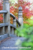 Old bridge in Japenese garden - Wroclaw