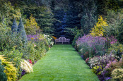 Wooden bench between late summer borders