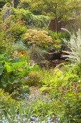 Hope House Garden.