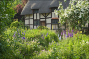 Anne Hathaway's Cottage