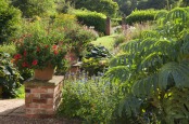 Evening at Hall Farm.