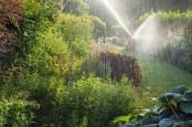 Sprinkler on the Borders.