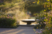 Misty Country Garden
