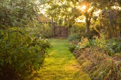 Garden Gate in the Evening