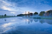 Morning Mist