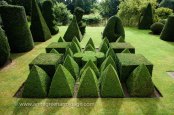 Topiary garden based on Euclidean geometry