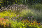 Sunny Prairie Garden