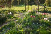 The Sunken Garden