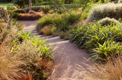 Australian and New Zealand Garden