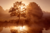 Morning at Lakeside