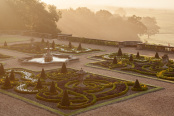 Morning on the Terrace
