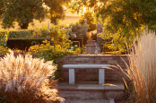 Evening on the Terrace