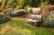 Autumn Evening in the Prairie Garden