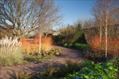Lower Pond
