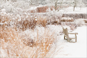 Lower Lawn in Winter