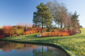 Winter Morning at Brightwater