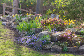 The Lakeside Rockery