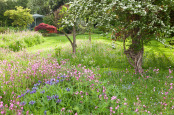 Evening at Ellerker Manor
