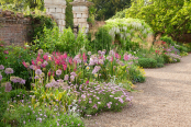 Evening in the West Garden