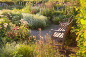 Courtyard Garden