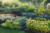 The Kitchen Garden