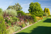 The Herbaceous Borders