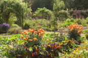Victorian Walled Garden