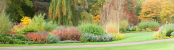 Harlow Carr Panorama
