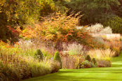 Autumn at RHS Harlow Carr