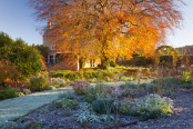 Frosty Autumn Morning
