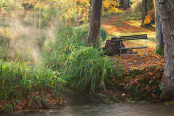 Fawley House Garden in Autumn