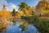 Goltho Garden Pond