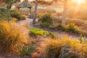 Winter Evening at Hyde Hall