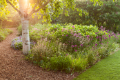 Morning in the Hilltop Garden