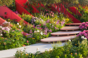 Silk Road Garden, Chelsea Flower Show